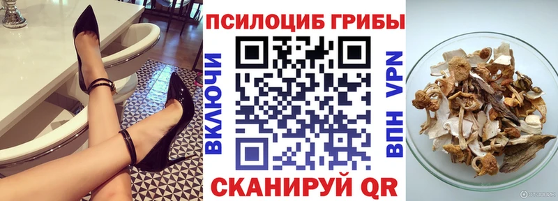 Псилоцибиновые грибы мицелий Камень-на-Оби